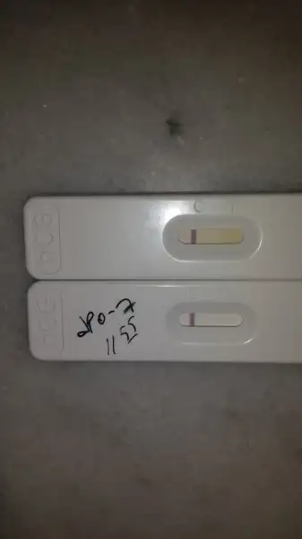20180130_134142.webp