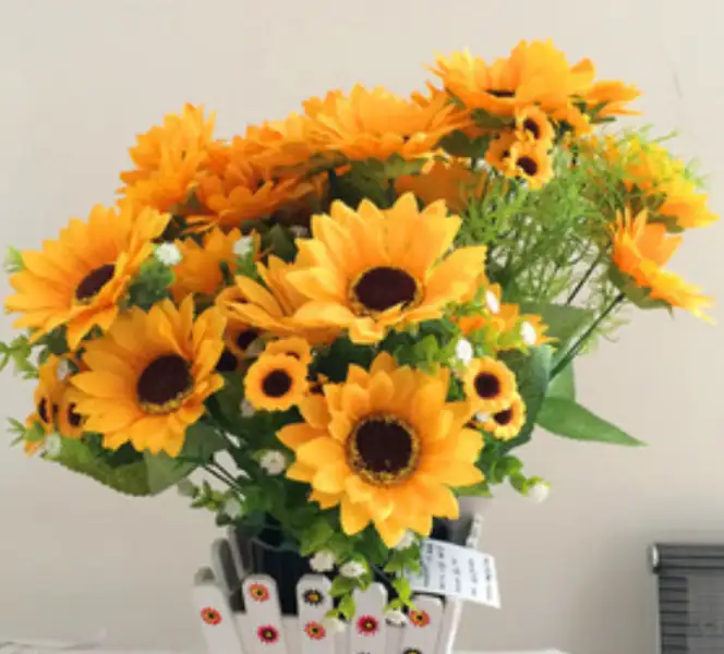 20180228_104953.webp