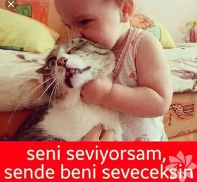20180816_182019.webp