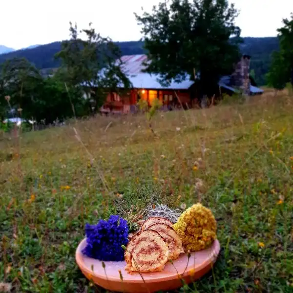 20180817_210118_800x800.webp