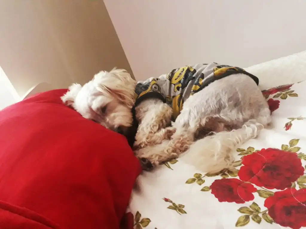 20181024_193430.webp
