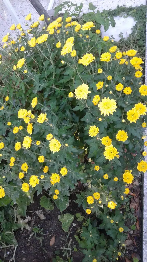 20181101_094222.webp