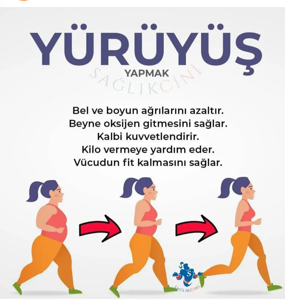 2019-01-29 08.20.02.webp