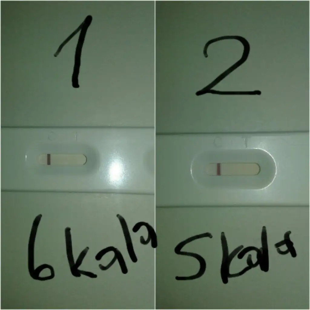 2019-09-16 19.55.23.webp