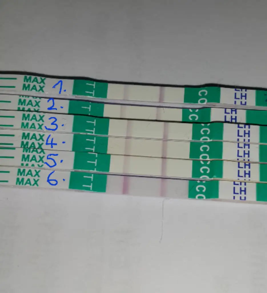 2019-12-02 18.47.04.webp