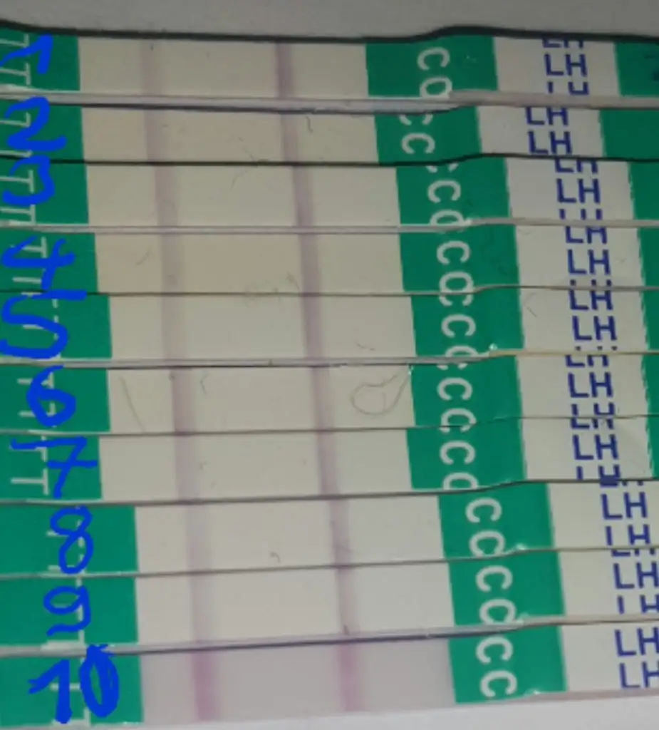 2019-12-02 18.48.57.webp