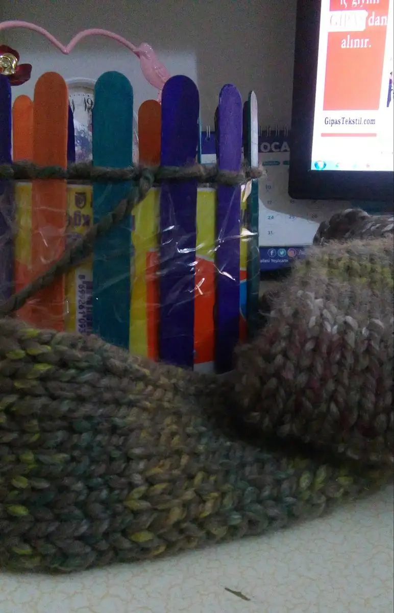 20190120_003549-1.webp
