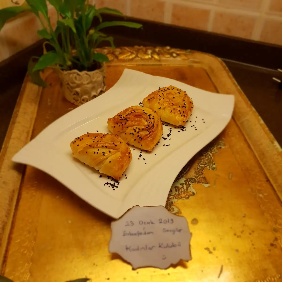 20190123_221937.webp