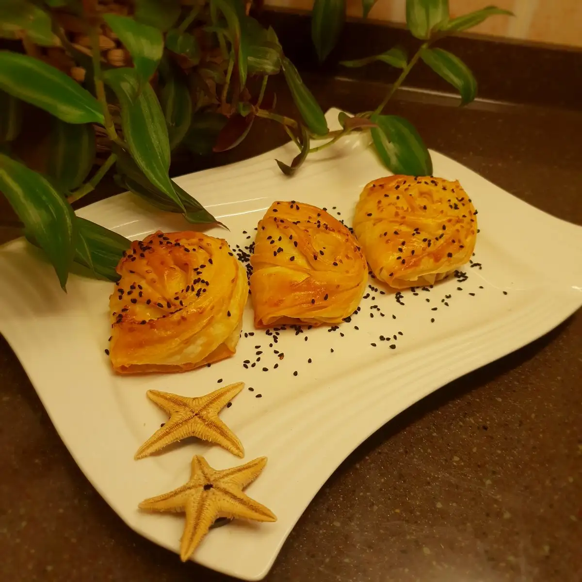 20190123_222817.webp