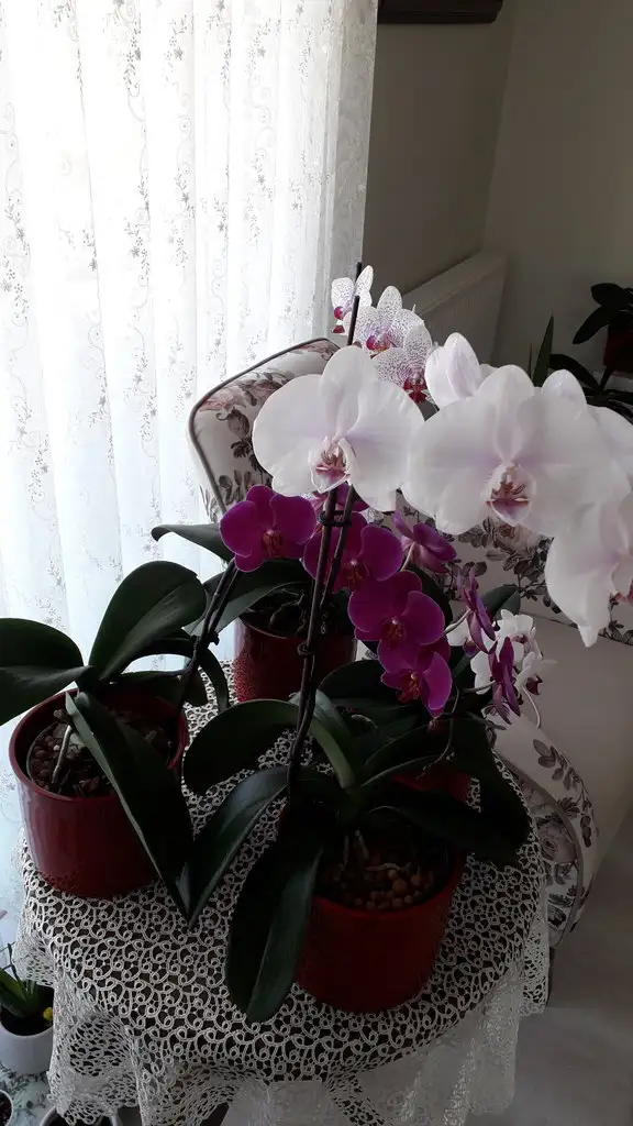 20190304_130647.webp
