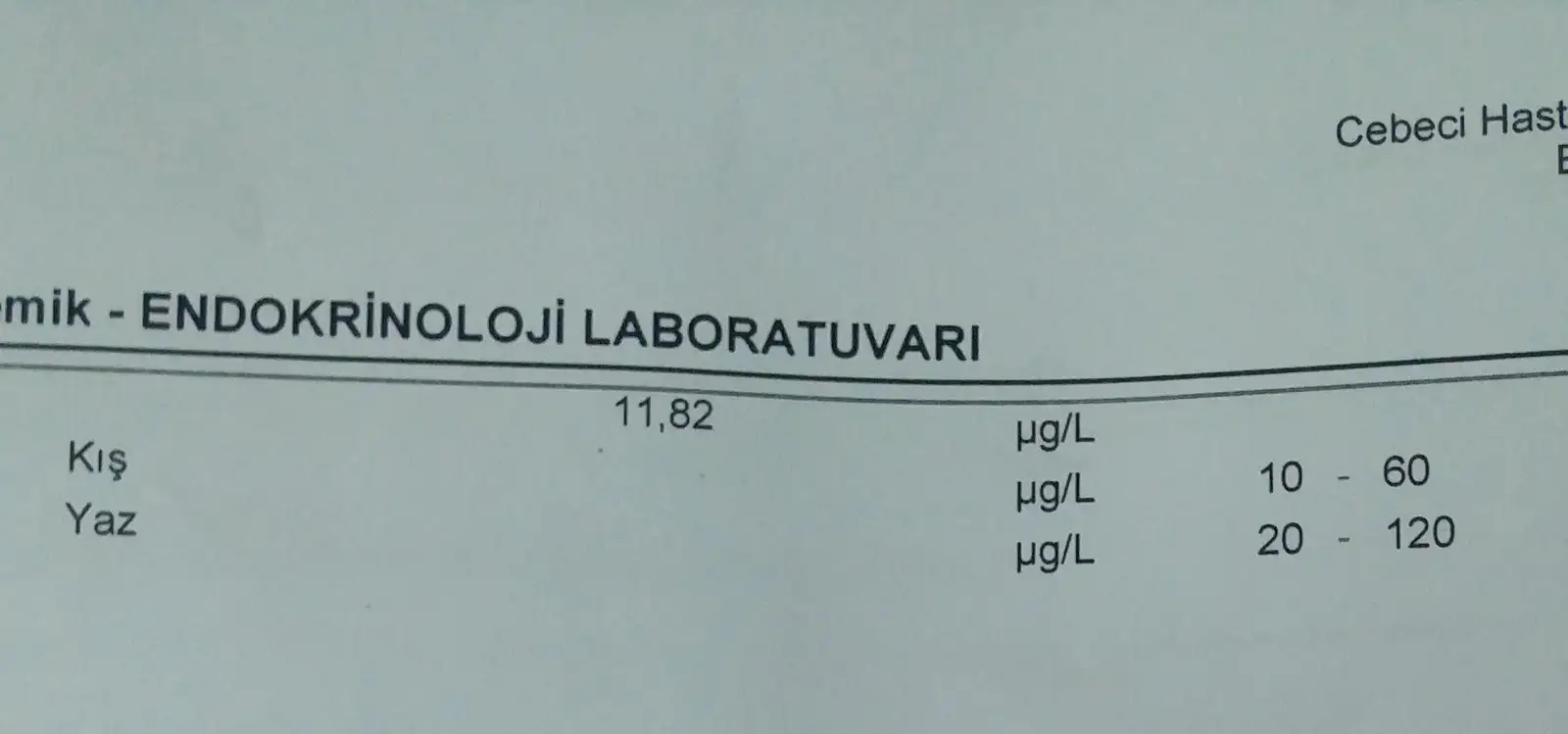 2242041