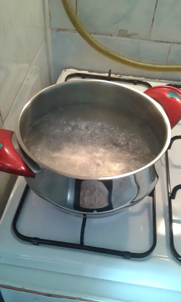 20190405_142845.webp