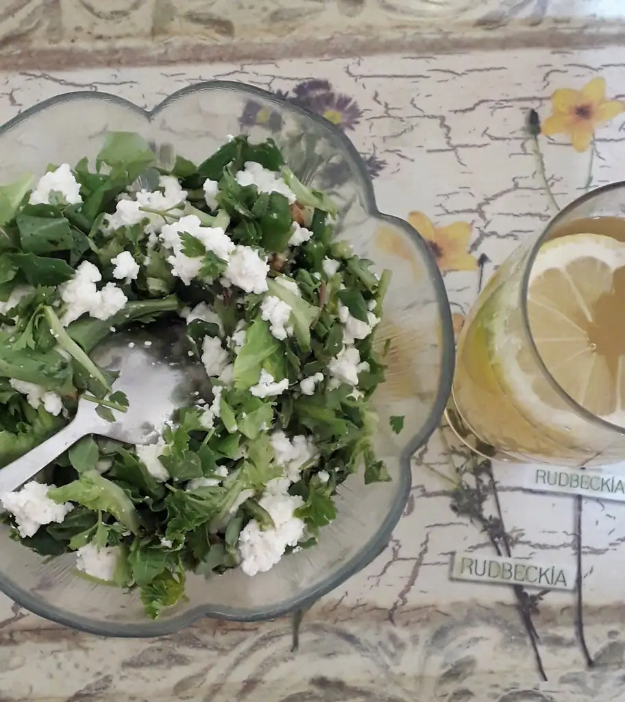20190407_094341.webp