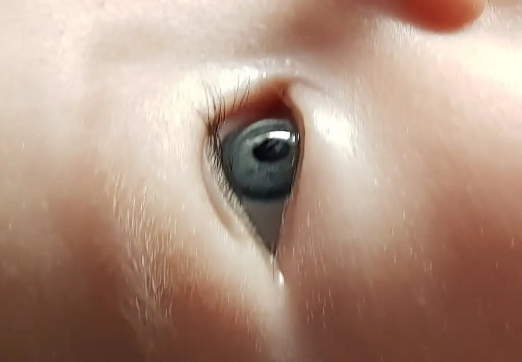 2269477