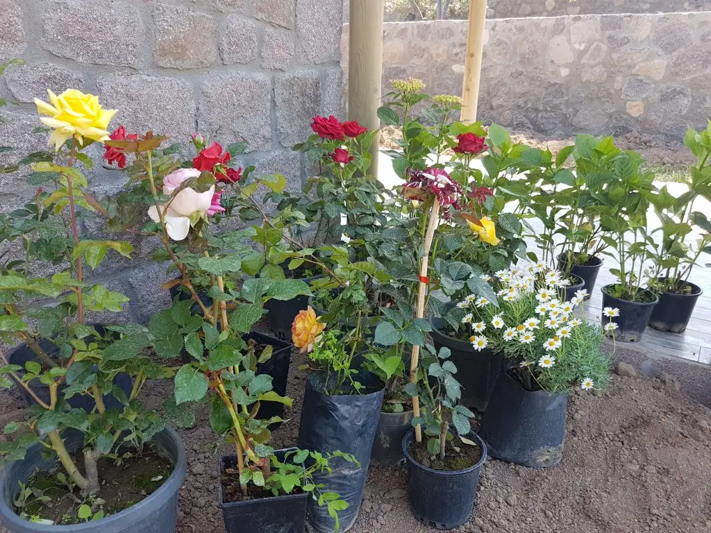 20190518_160518.webp