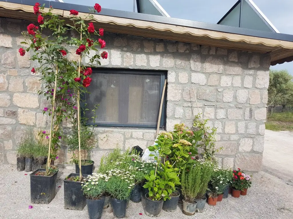 20190520_174135.webp