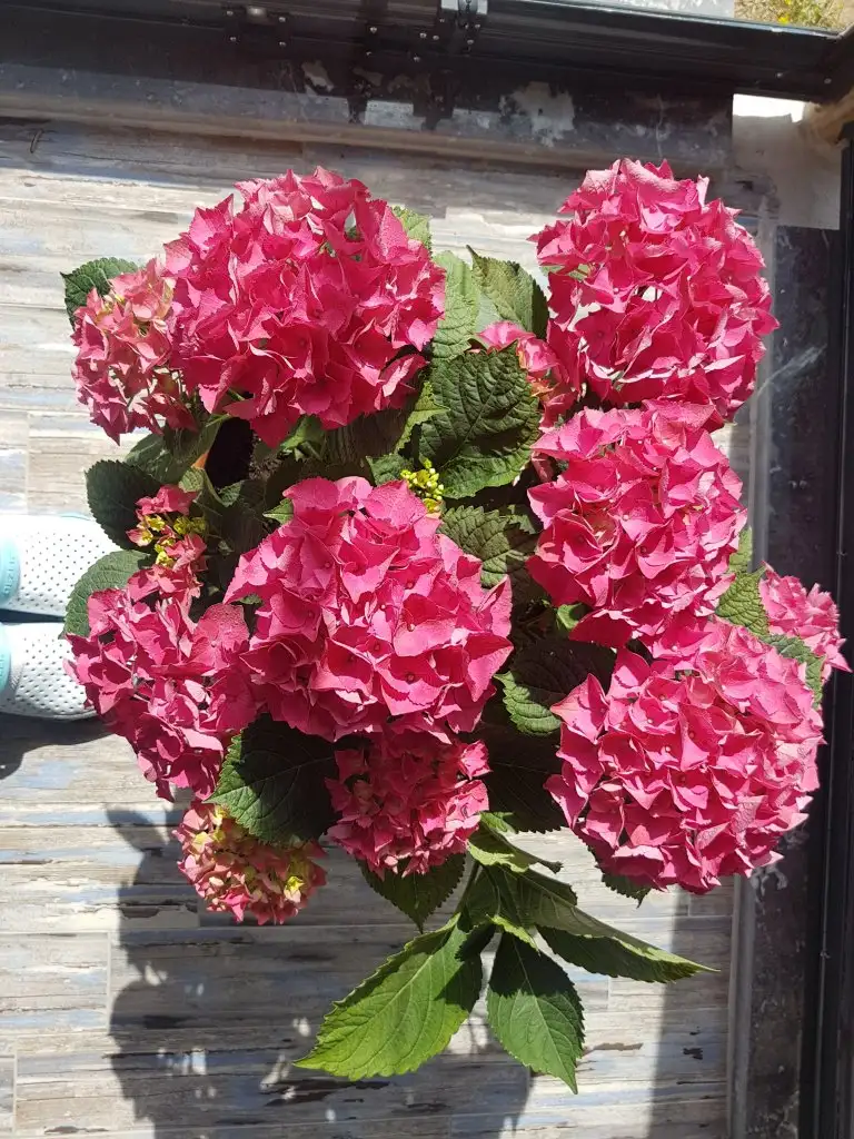 20190522_094229.webp