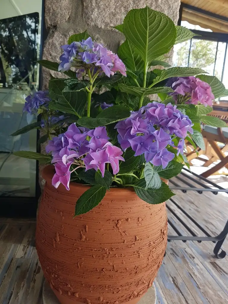 20190522_094404.webp