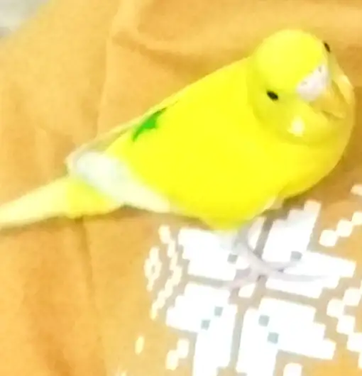 20190522_213526.webp