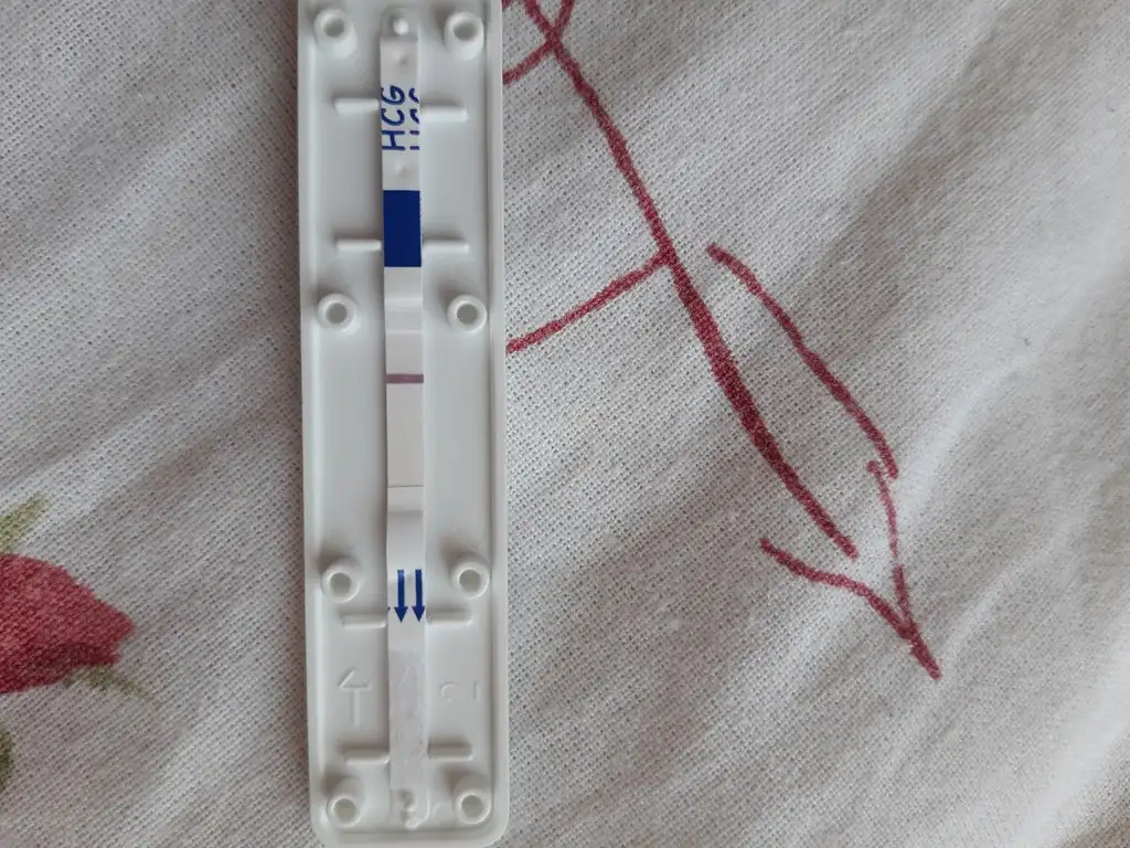 2282424