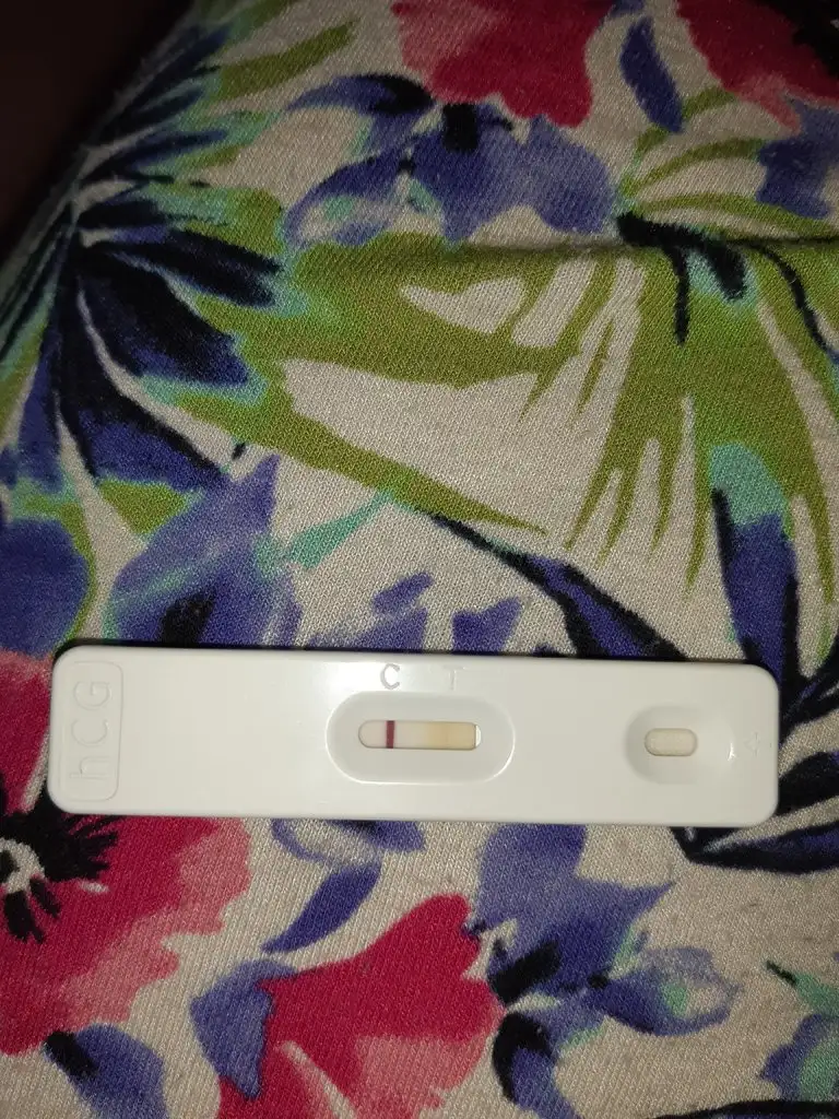 2282791