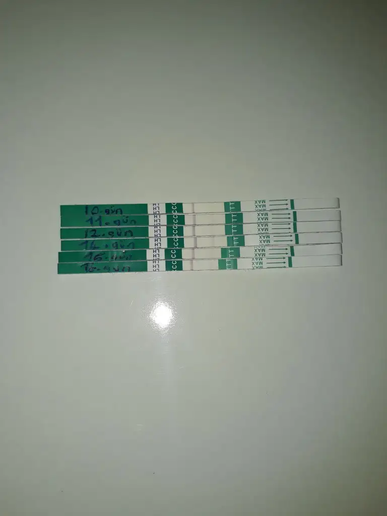 20190727_144258.webp