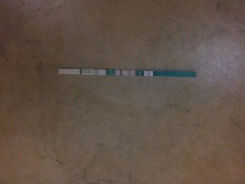 20190729_185338.webp