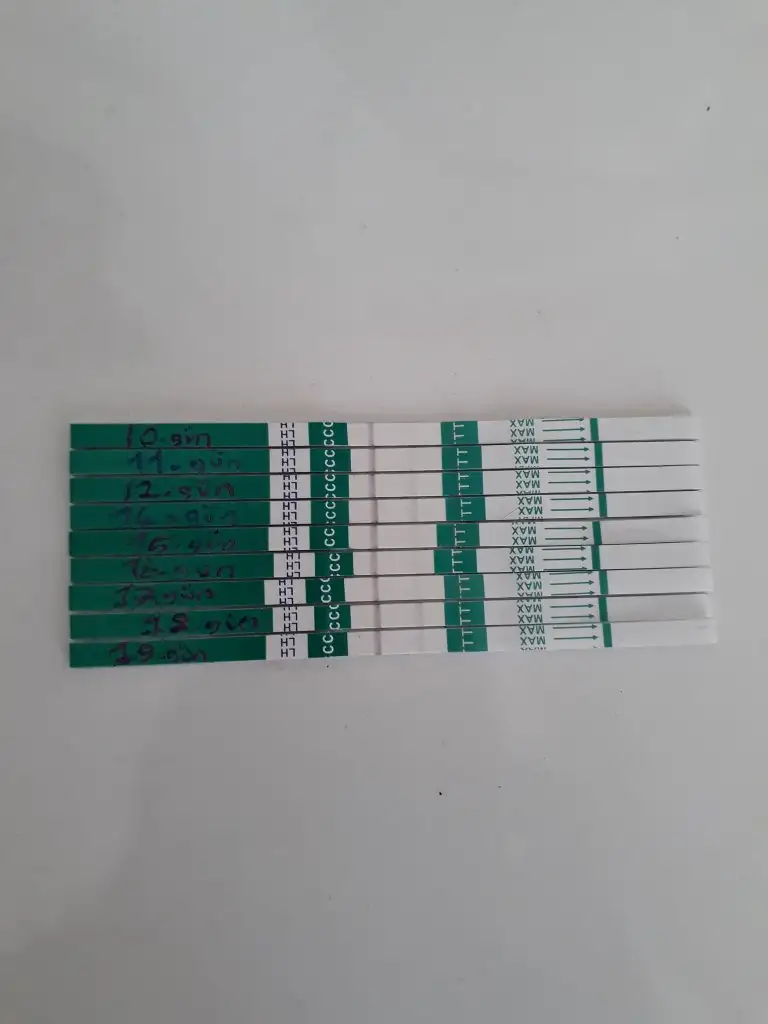 20190730_134546.webp