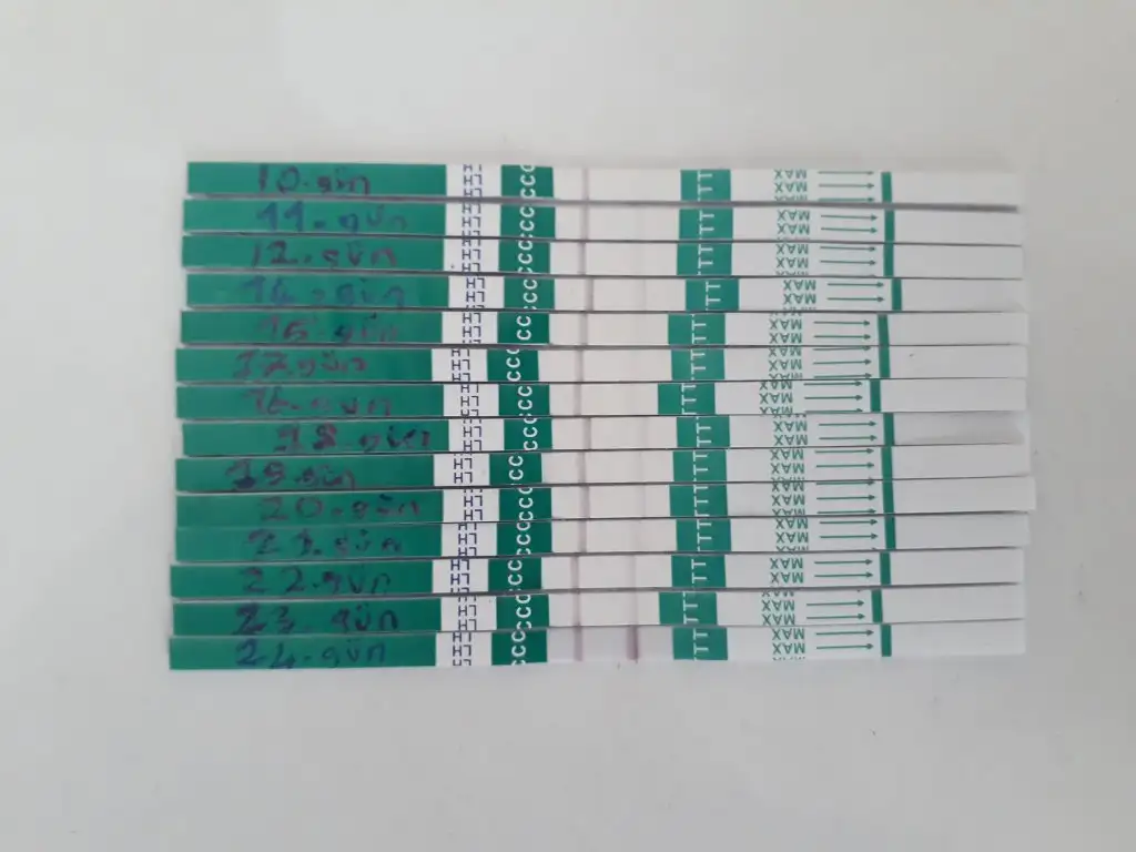20190804_161740.webp