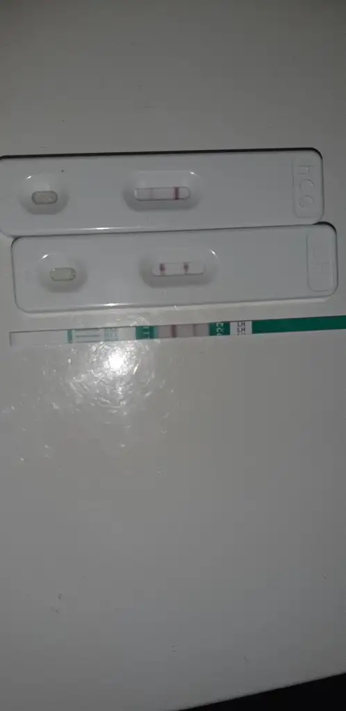 20190804_193653.webp