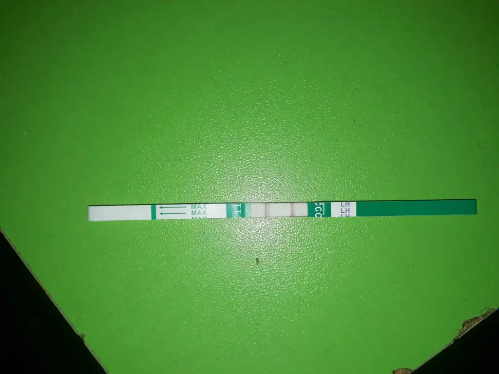 20190806_142648.webp