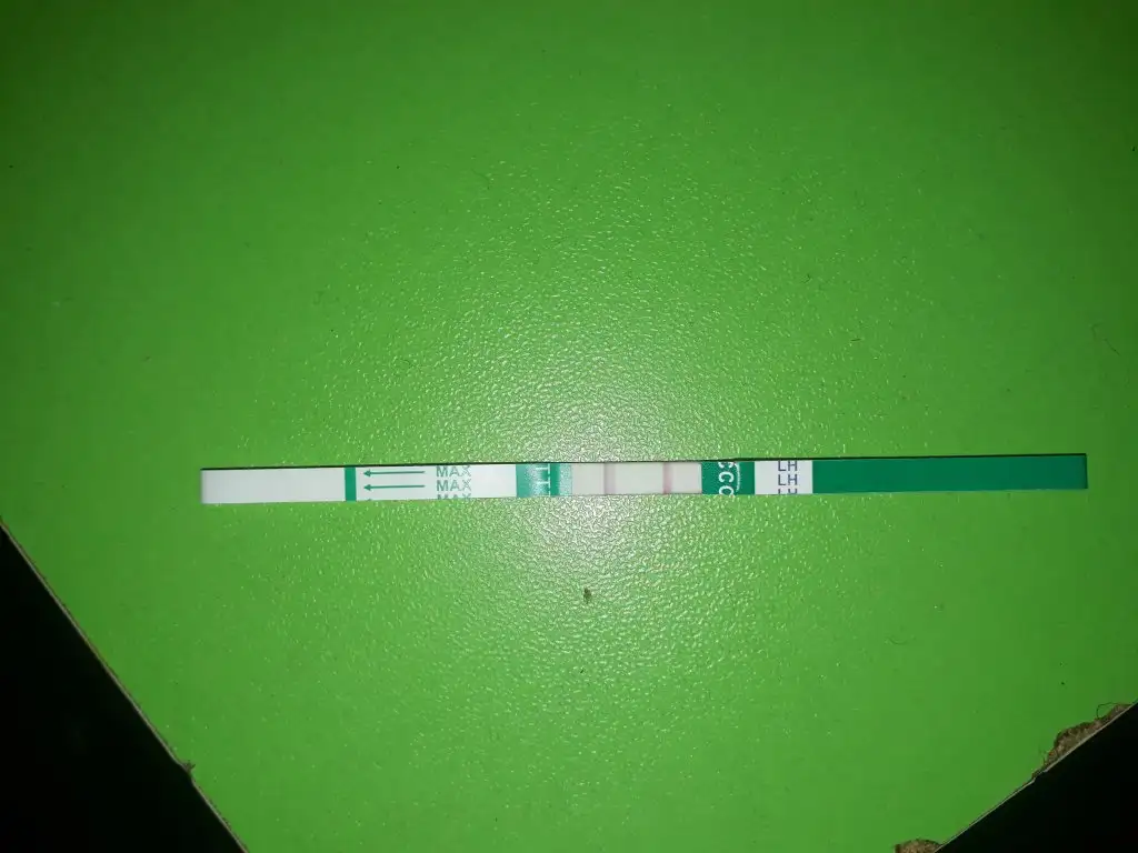 20190806_142648.webp