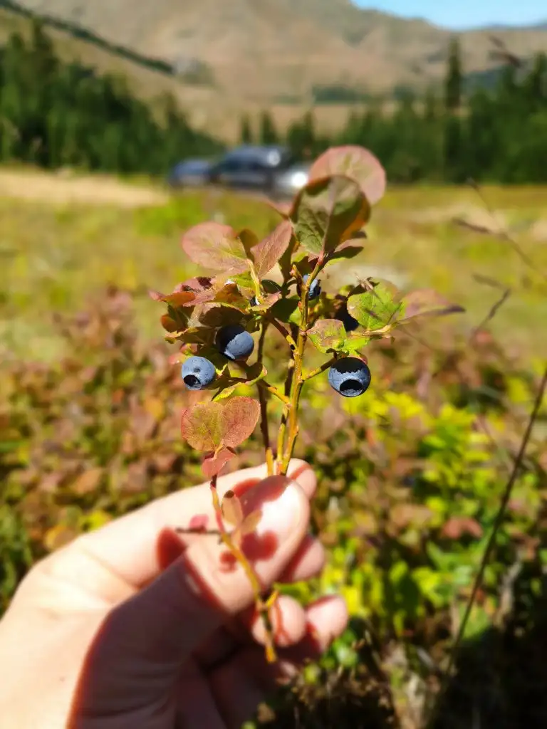 20190813_121439.jpg