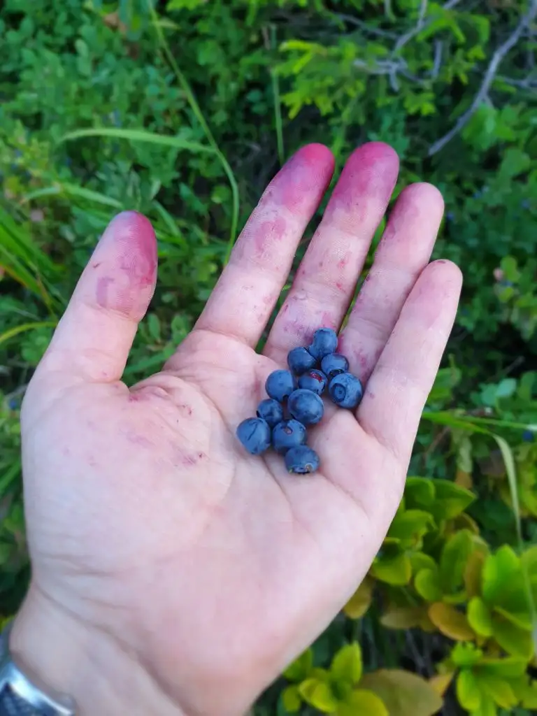 20190813_182314.jpg