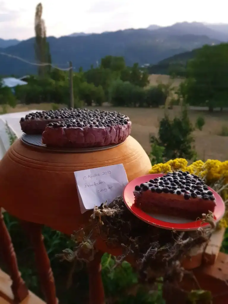 20190815_192649.jpg