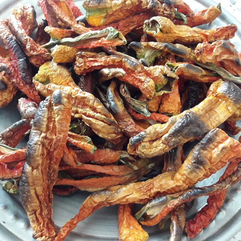 20190830_121517.webp