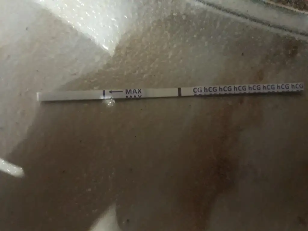 20190915_212445.jpg