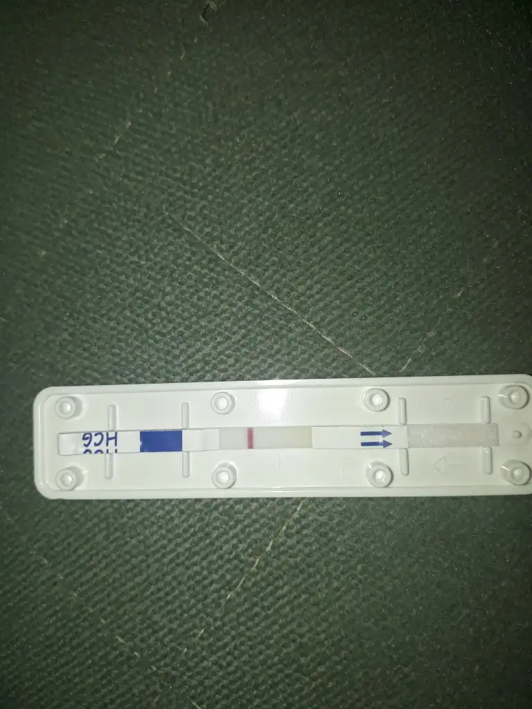 20190929_094242.webp