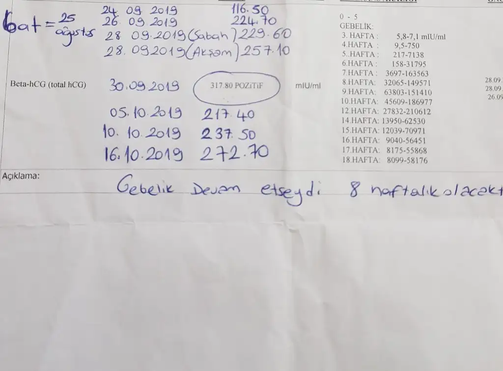 20191016_205123.jpg