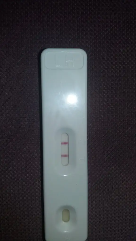 20191017_185012.webp