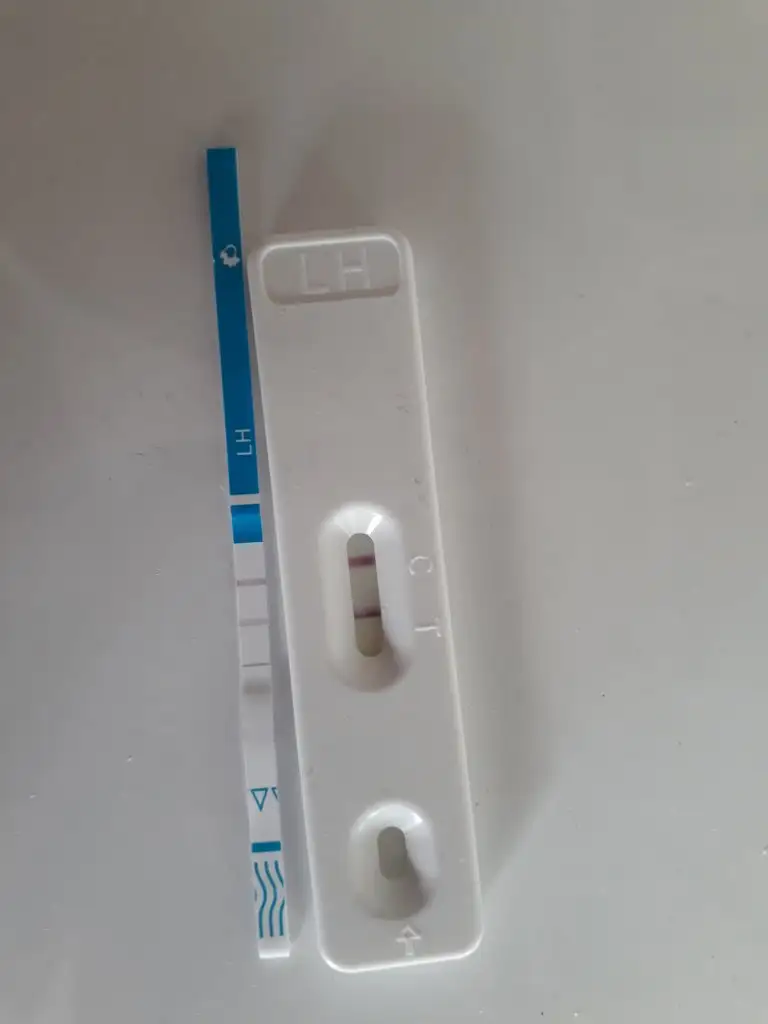 20191105_150931.webp