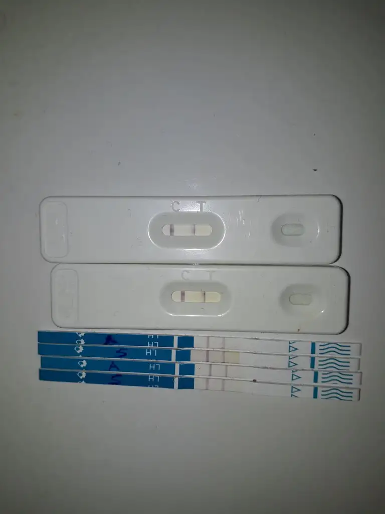 20191108_111854.webp