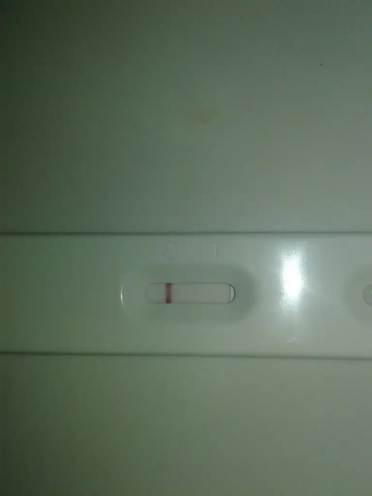 20191114_224116.webp
