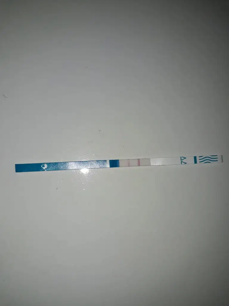 20191205_130405.webp