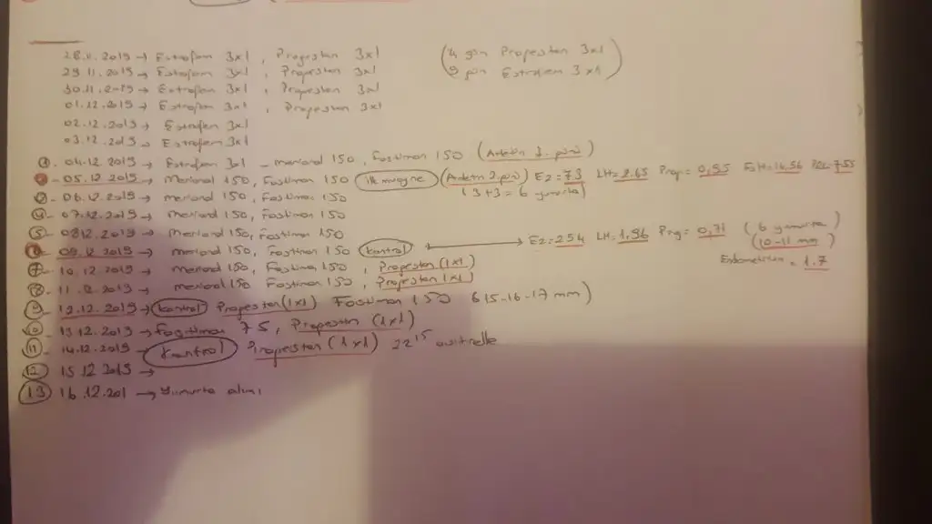 20191219_011941.webp