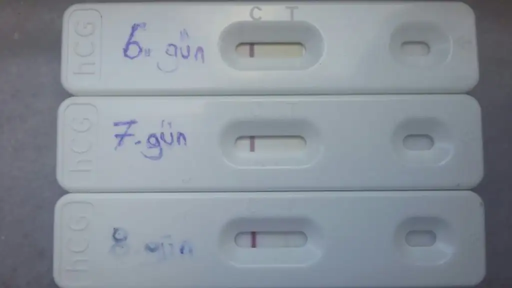 2020-09-18 09.58.19.webp