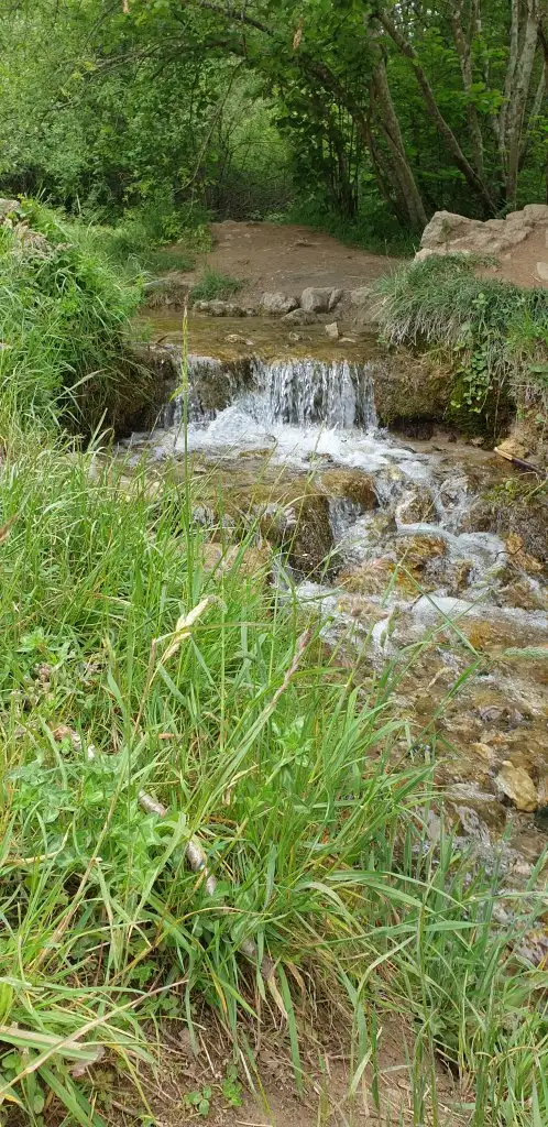 20200611_143834.webp
