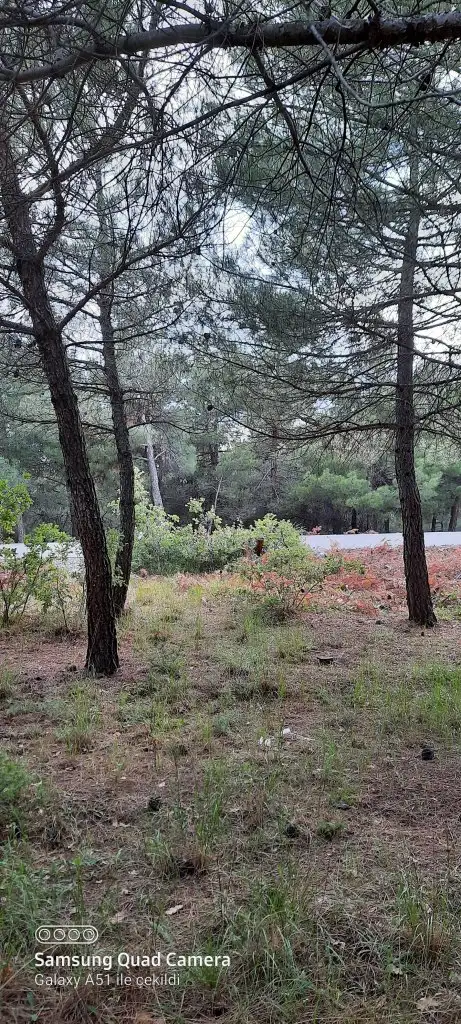 20200614_184135.webp