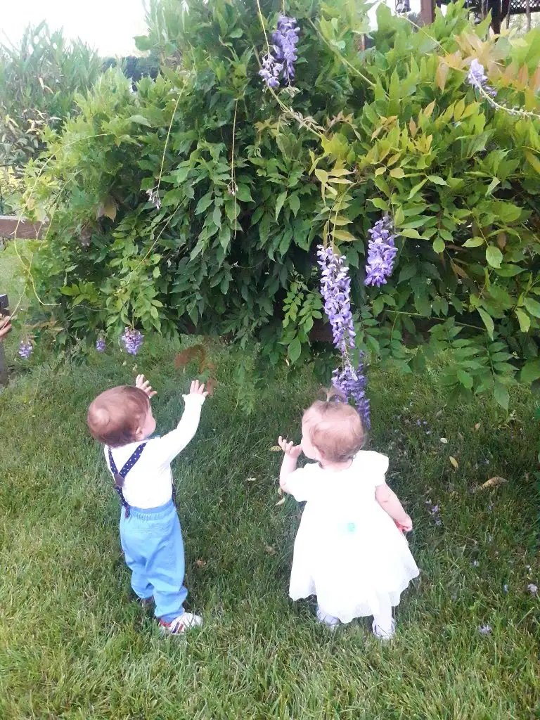 20200705_155117.jpg