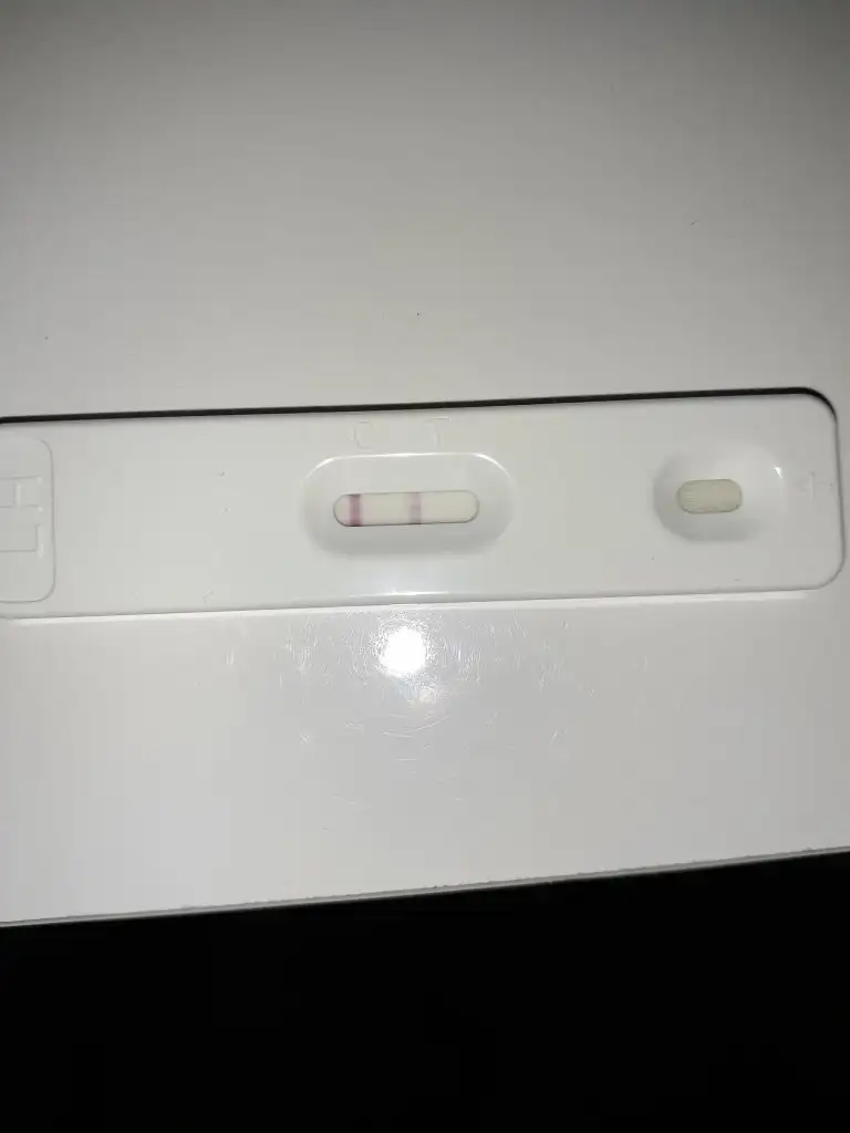 20200818_012545.webp